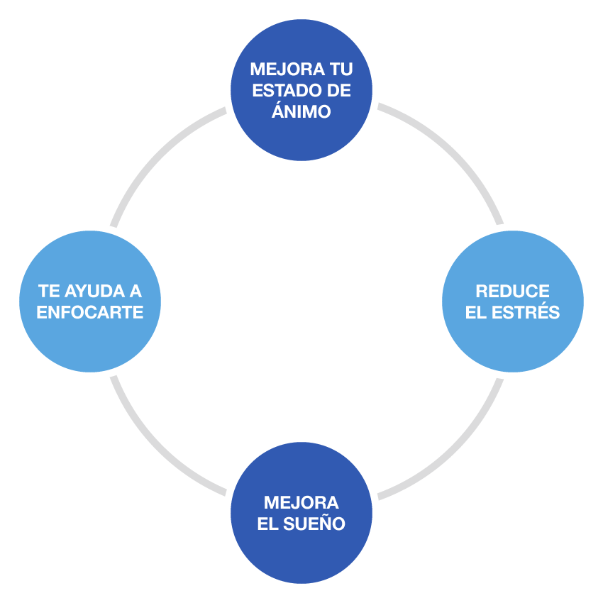 Beneficios de la actividad física.